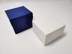 OEM White plastic Watch box with FSC paper for Watch packing box